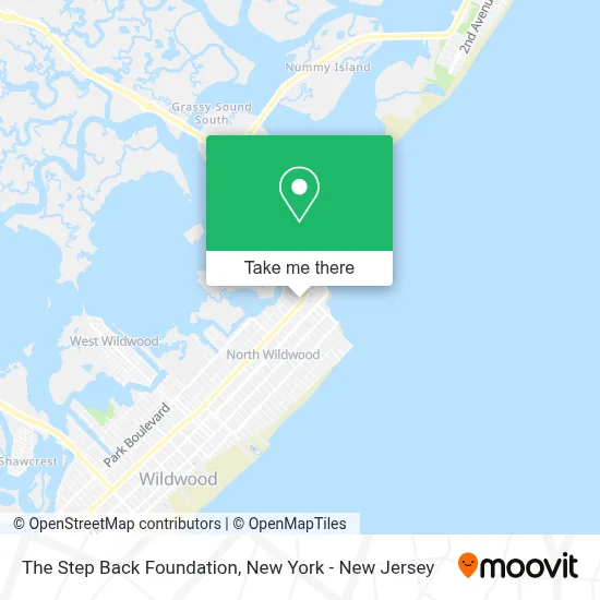 The Step Back Foundation map