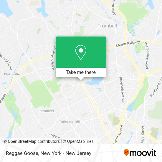 Reggae Goose map