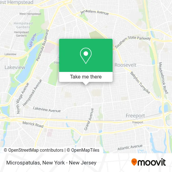 Microspatulas map