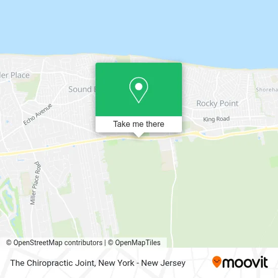 The Chiropractic Joint map