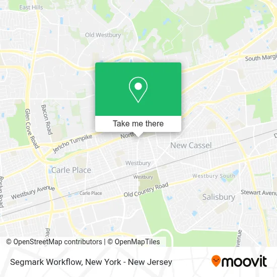 Segmark Workflow map