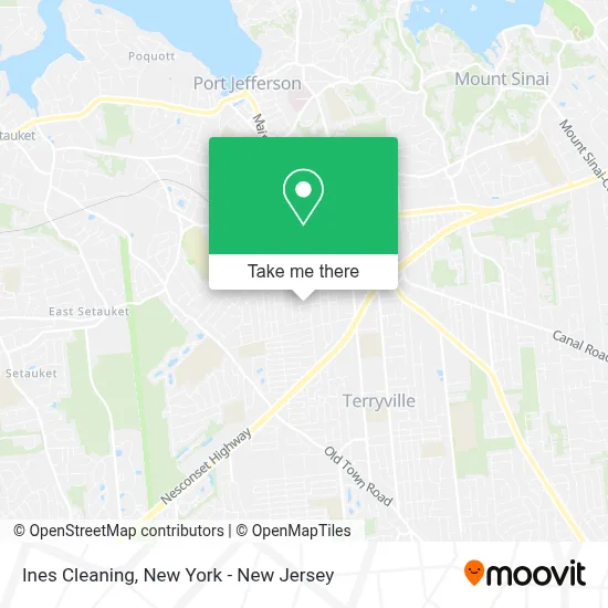 Ines Cleaning map