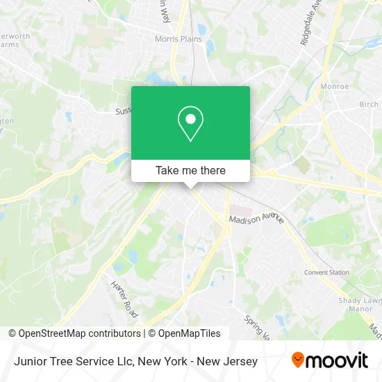 Junior Tree Service Llc map