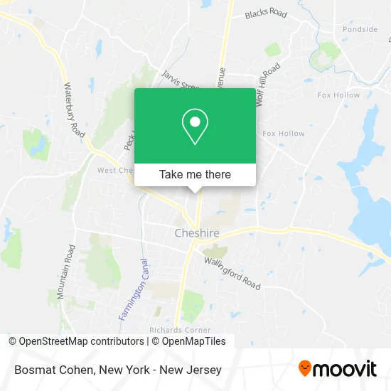 Bosmat Cohen map