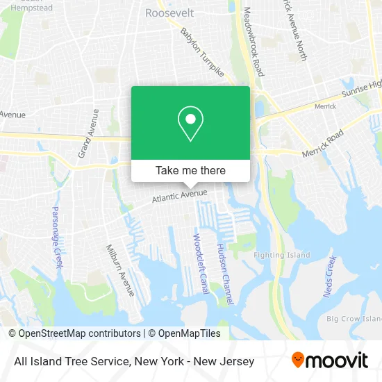 All Island Tree Service map