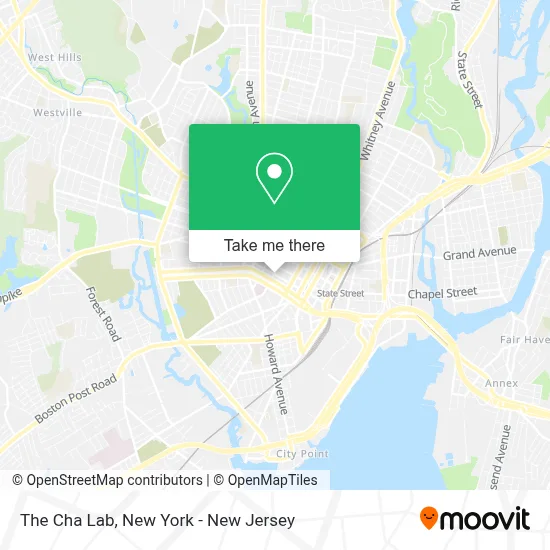 The Cha Lab map