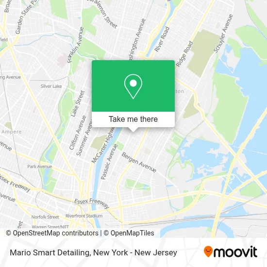 Mario Smart Detailing map