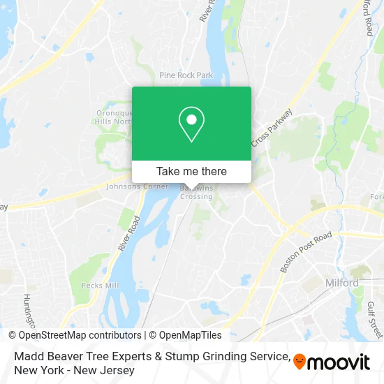 Madd Beaver Tree Experts & Stump Grinding Service map