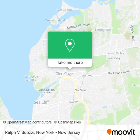 Ralph V. Suozzi map