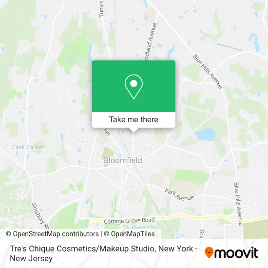 Tre's Chique Cosmetics / Makeup Studio map