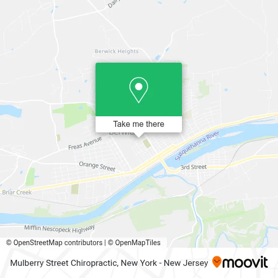 Mulberry Street Chiropractic map