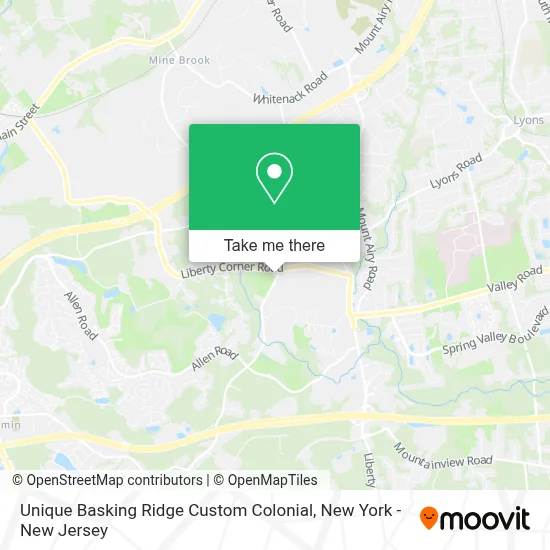 Unique Basking Ridge Custom Colonial map