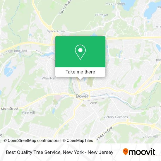 Best Quality Tree Service map