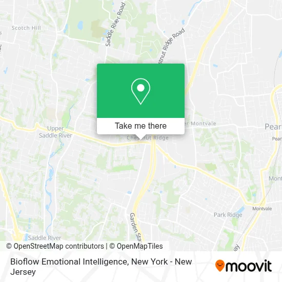 Bioflow Emotional Intelligence map