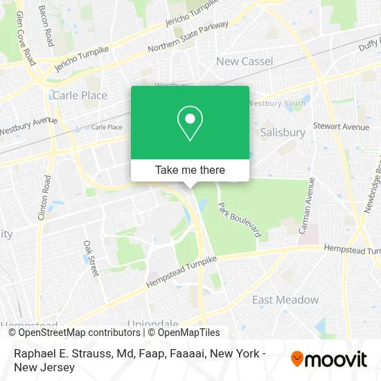 Raphael E. Strauss, Md, Faap, Faaaai map