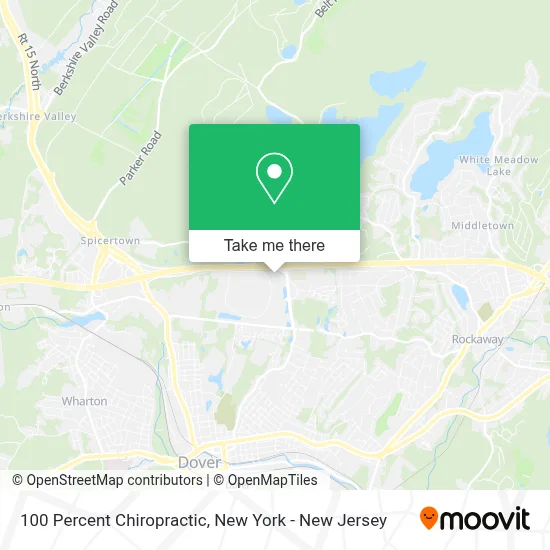 100 Percent Chiropractic map