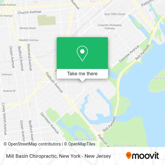 Mill Basin Chiropractic map