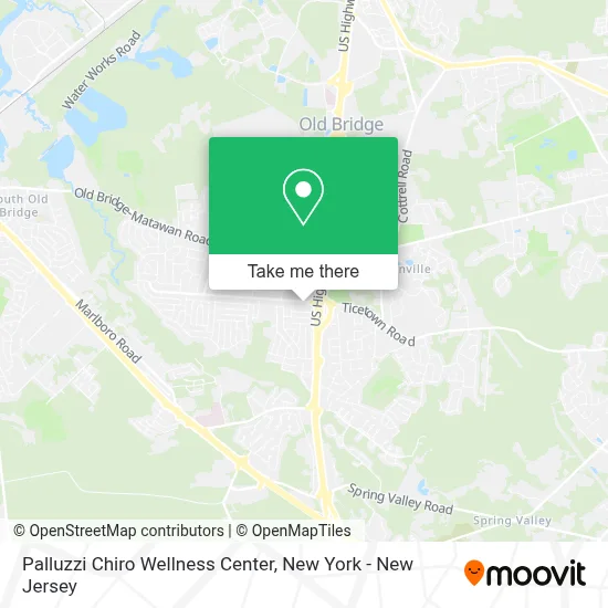 Palluzzi Chiro Wellness Center map