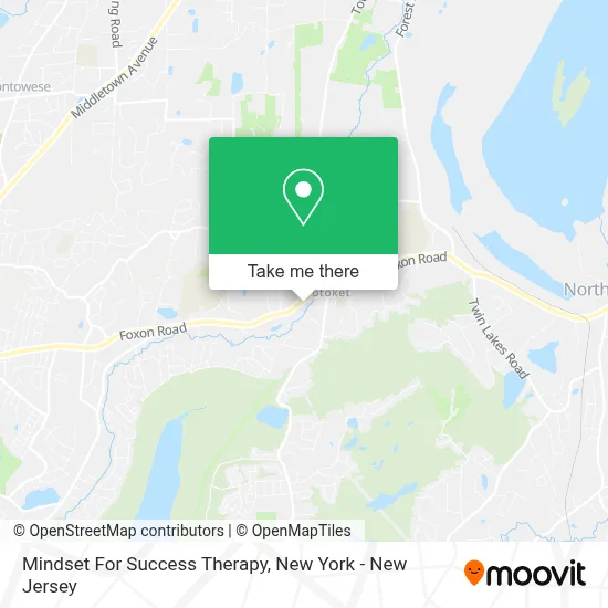 Mindset For Success Therapy map