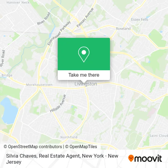 Silvia Chaves, Real Estate Agent map