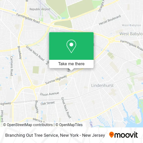 Branching Out Tree Service map