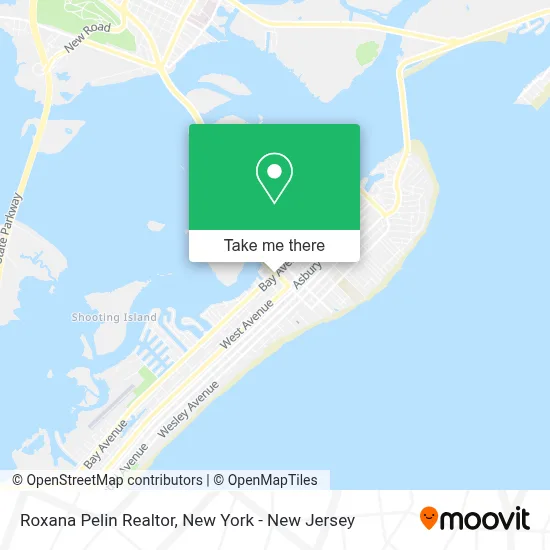 Roxana Pelin Realtor map