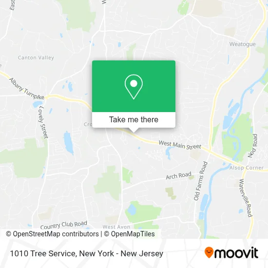 1010 Tree Service map