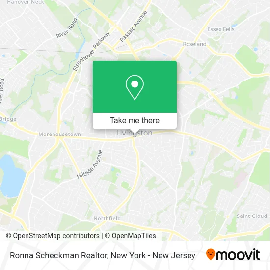 Ronna Scheckman Realtor map
