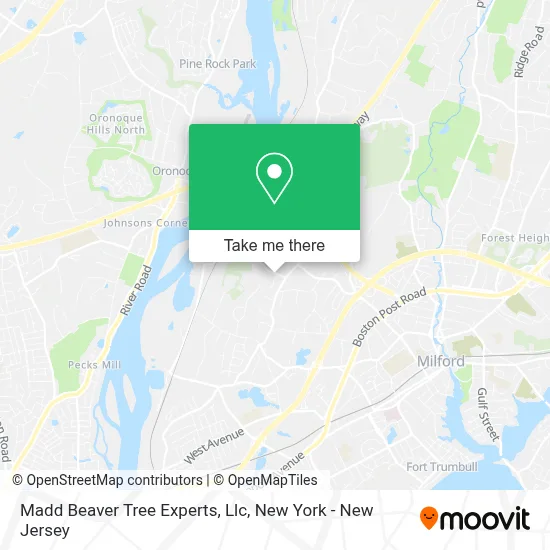 Madd Beaver Tree Experts, Llc map