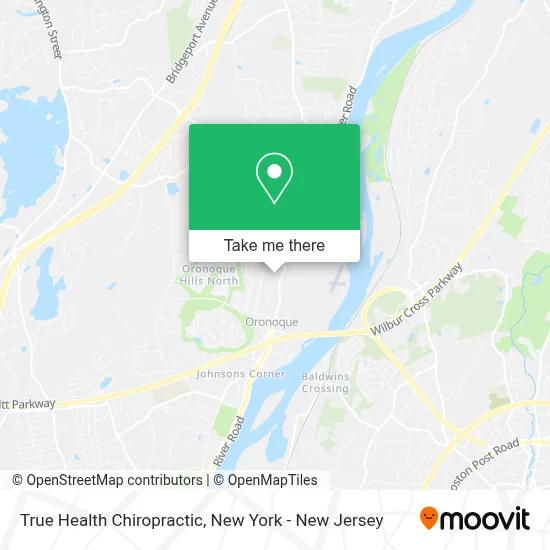True Health Chiropractic map