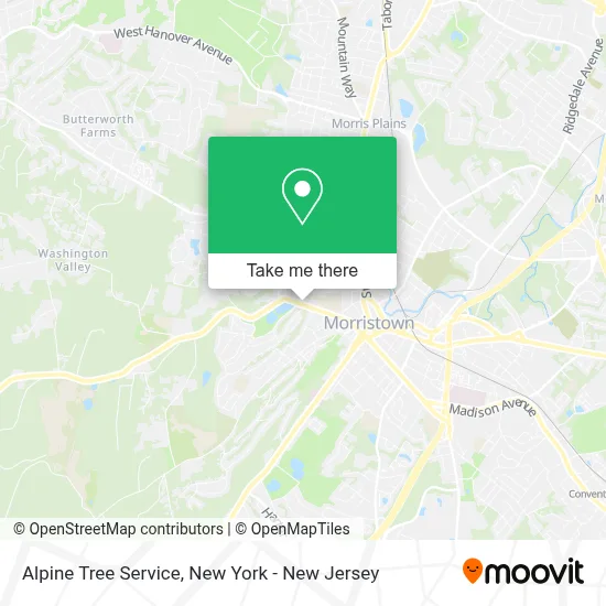 Alpine Tree Service map