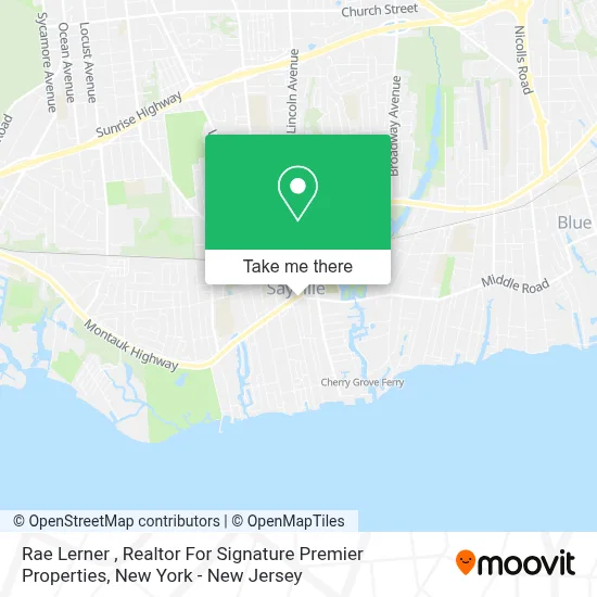 Rae Lerner , Realtor For Signature Premier Properties map