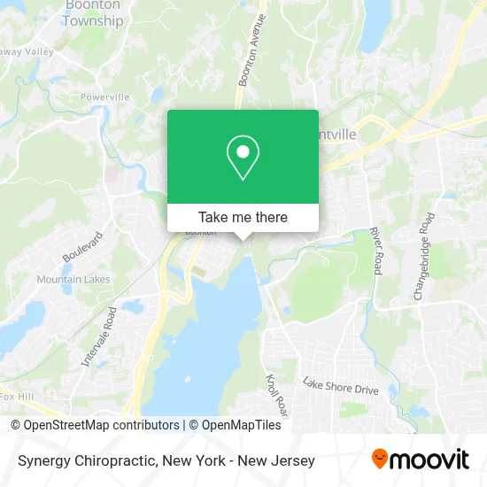 Synergy Chiropractic map