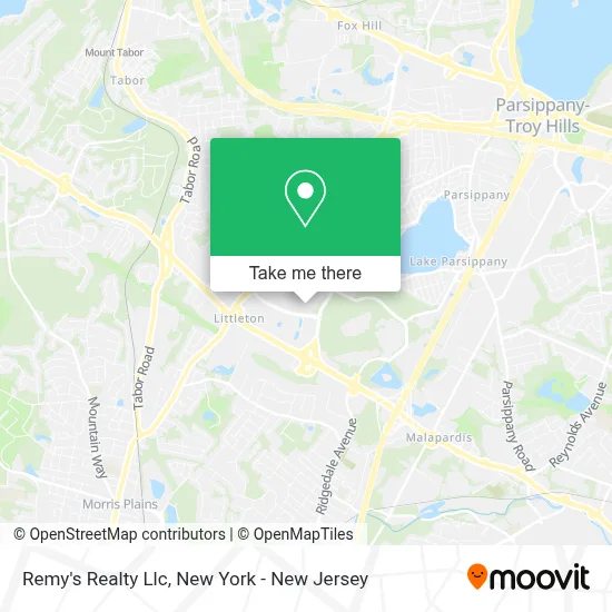 Remy's Realty Llc map