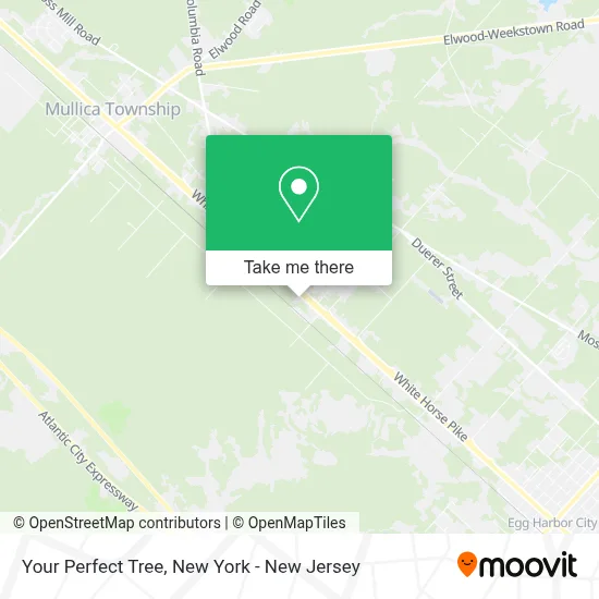 Your Perfect Tree map