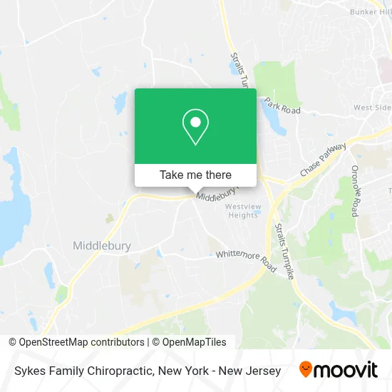 Sykes Family Chiropractic map