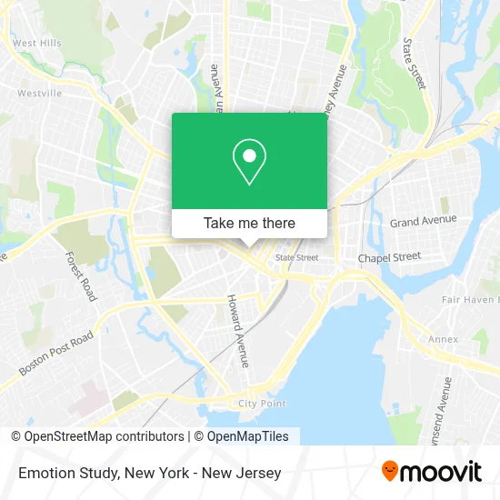 Emotion Study map