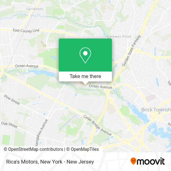 Rica's Motors map