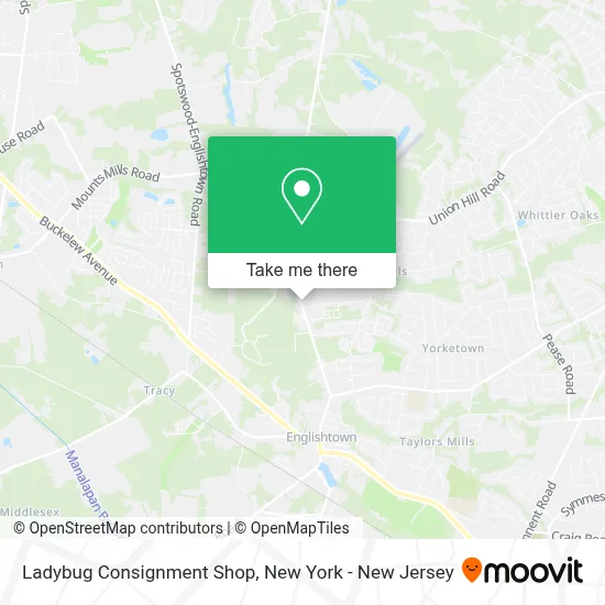 Ladybug Consignment Shop map