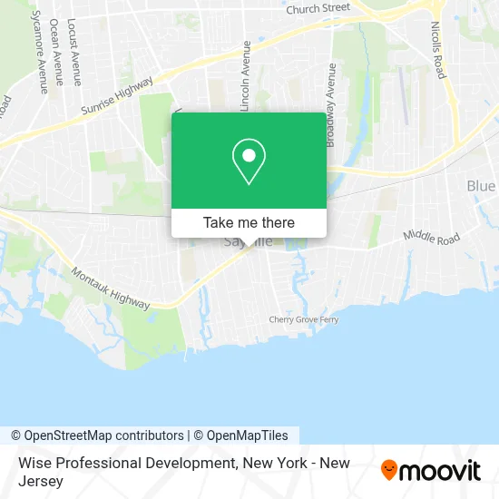Wise Professional Development map
