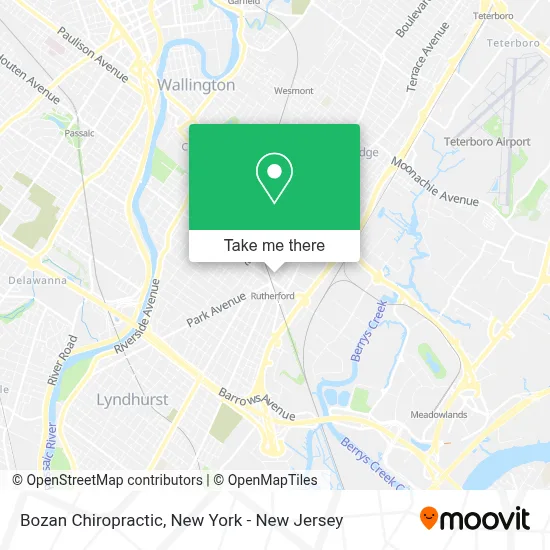 Bozan Chiropractic map