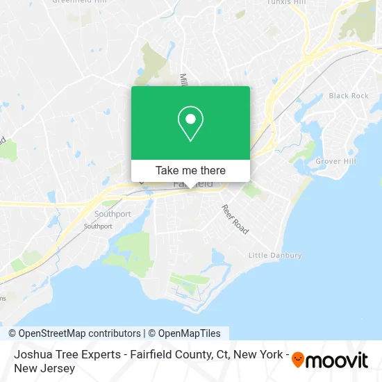 Joshua Tree Experts - Fairfield County, Ct map