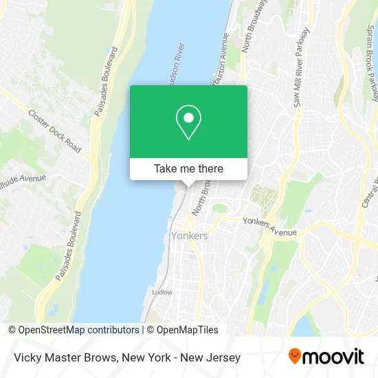Vicky Master Brows map