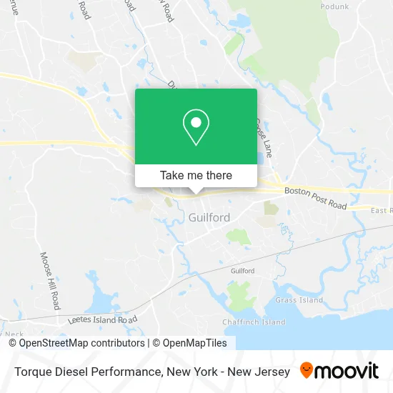 Torque Diesel Performance map