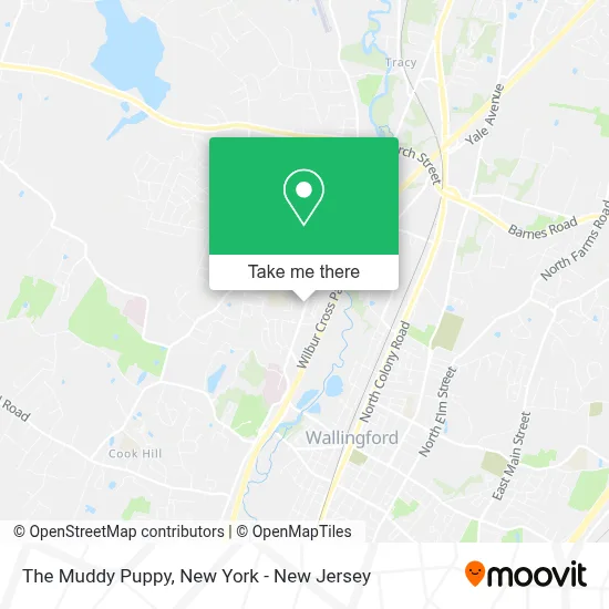 The Muddy Puppy map
