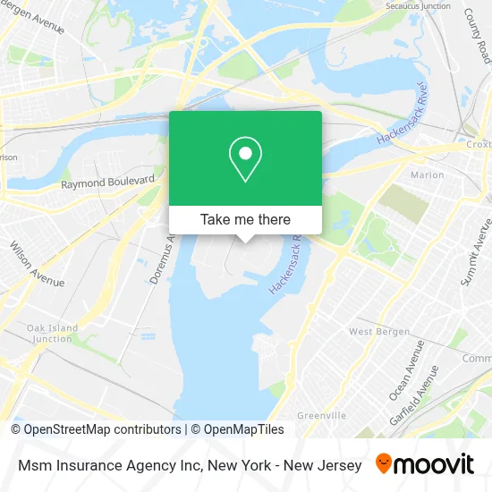 Msm Insurance Agency Inc map