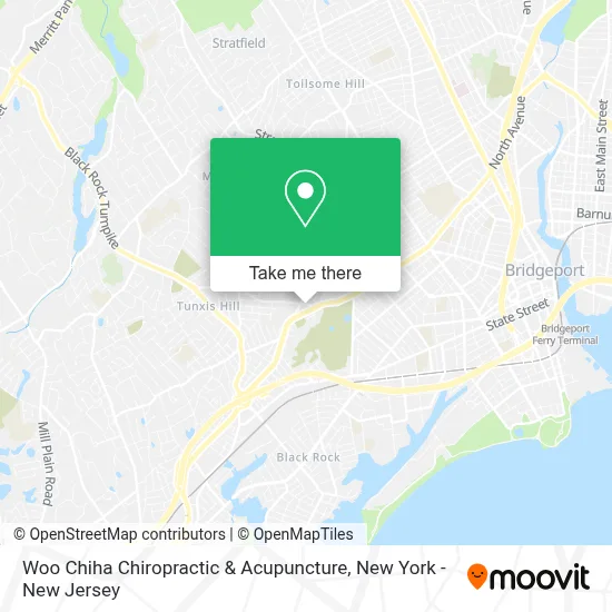Woo Chiha Chiropractic & Acupuncture map