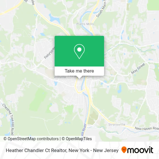 Heather Chandler Ct Realtor map