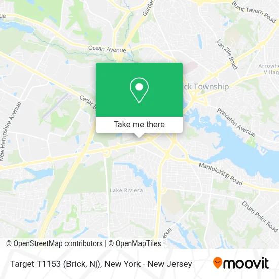 Target T1153 (Brick, Nj) map