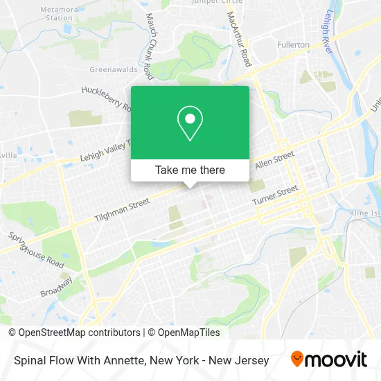Spinal Flow With Annette map